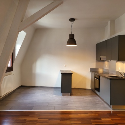 Aigle,Rue du Midi 13,Vaud,1.5 Rooms Rooms,Appartement,1146