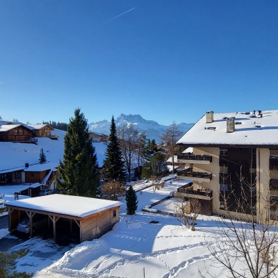 Leysin,Vaud,5.5 Rooms Rooms,Appartement,Le Florival,1214