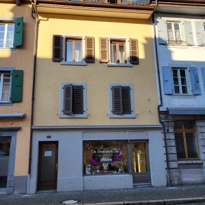Villeneuve,Grand Rue 57,Vaud,3 Rooms Rooms,Appartement,1225