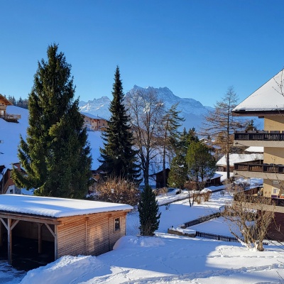 Leysin Vaud,5.5 Rooms Rooms,Appartement,Le Florival,1252