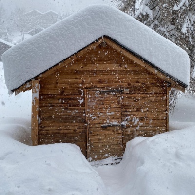 Leysin Vaud,5.5 Rooms Rooms,Appartement,Le Florival,1252