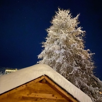 Leysin Vaud,5.5 Rooms Rooms,Appartement,Le Florival,1252