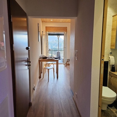 Leysin,rue du Village 32,Vaud,2 Rooms Rooms,Appartement,1335