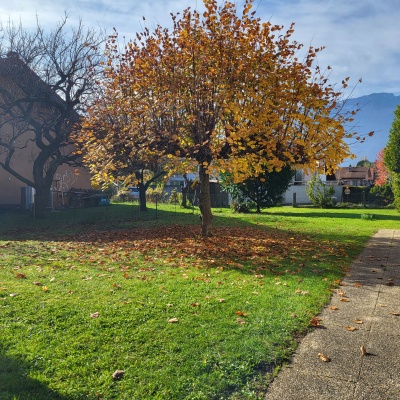 Aigle,chemin des Fleurettes 5,Vaud,3 Rooms Rooms,Appartement,1352